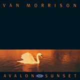 Download Van Morrison Orangefield sheet music and printable PDF music notes