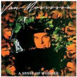 Download Van Morrison Tore Down A La Rimbaud sheet music and printable PDF music notes