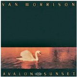 Download Van Morrison Whenever God Shines His Light sheet music and printable PDF music notes