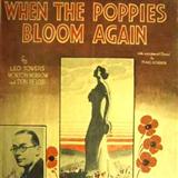 Download Don Pelosi When The Poppies Bloom Again sheet music and printable PDF music notes