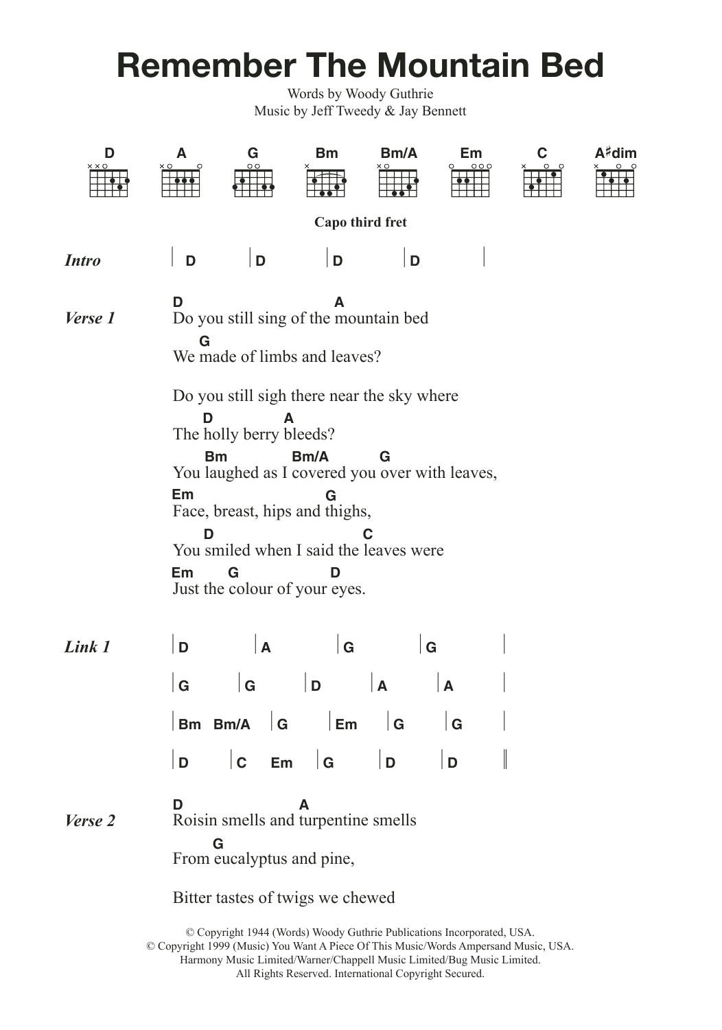 Wilco & Billy Bragg Remember The Mountain Bed Sheet Music Notes & Chords for Lyrics & Chords - Download or Print PDF