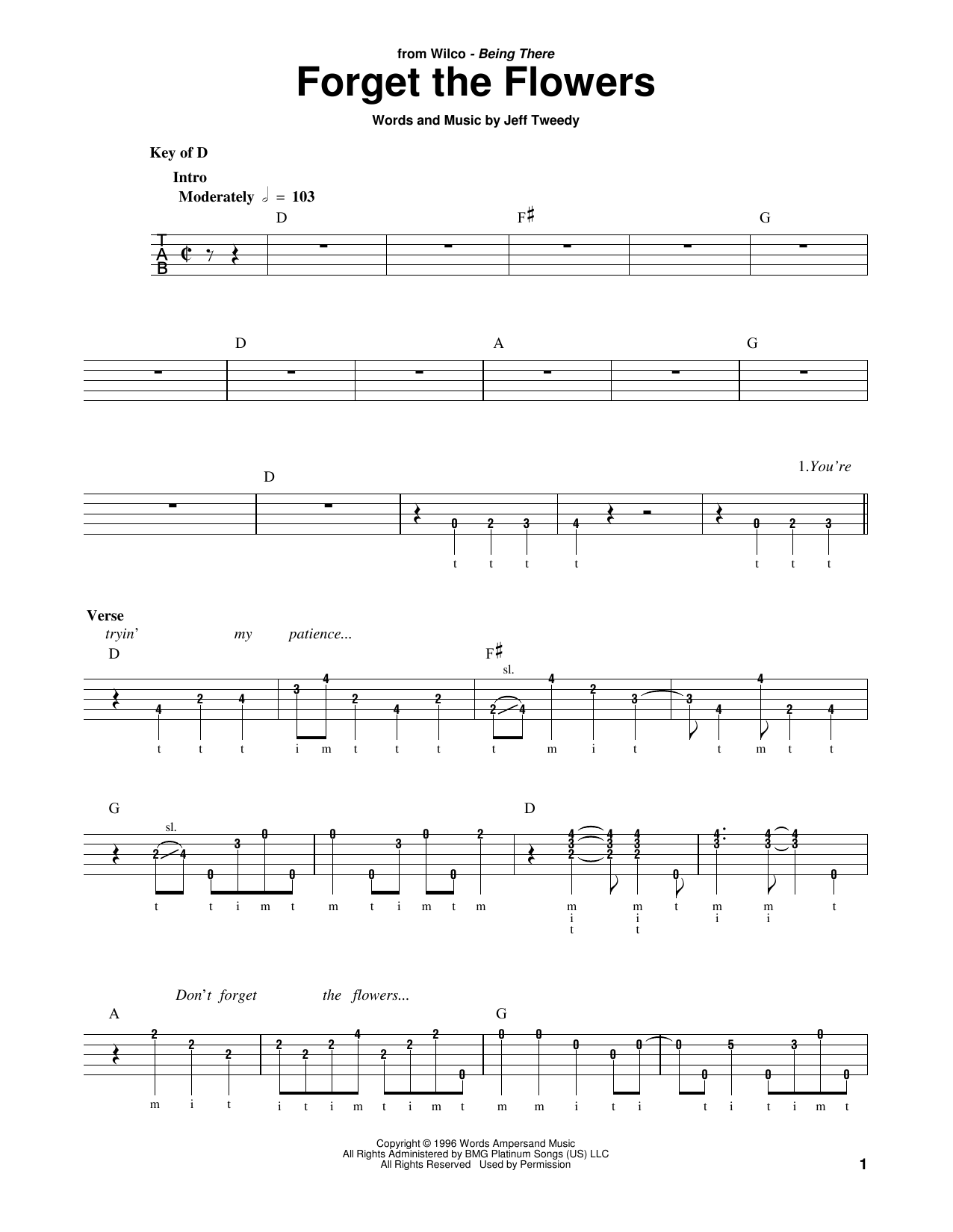 Wilco Forget The Flowers Sheet Music Notes & Chords for Banjo - Download or Print PDF