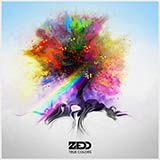 Download Zedd Beautiful Now sheet music and printable PDF music notes