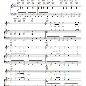 America The Border Musik Noten - Piano, Vocal & Guitar Chords - 98624-0