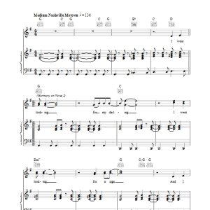 Belle And Sebastian The Wrong Girl Musik Noten - Piano, Vocal & Guitar Chords - 17208-0