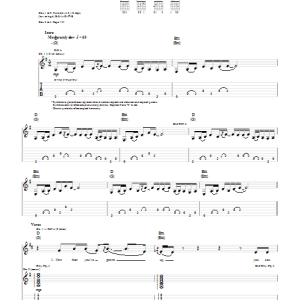 Ben Harper and Relentless7 Skin Thin Musik Noten - Guitar Tab - 71967-0