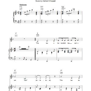 Bernard Cribbins Paddington Bear Musik Noten - Piano, Vocal & Guitar Chords - 38693-0