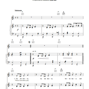 Bessie Smith Alexander's Ragtime Band Musik Noten - Piano, Vocal & Guitar Chords - 20243-0