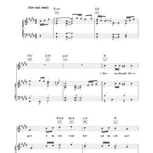 Bill Whelan Lift The Wings Musik Noten - Piano, Vocal & Guitar Chords - 37535-0