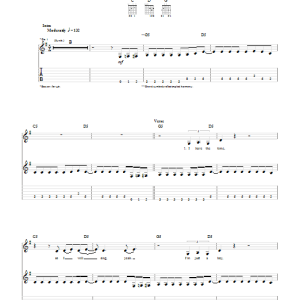 Billy Idol Catch My Fall Musik Noten - Piano, Vocal & Guitar Chords - 87443-0