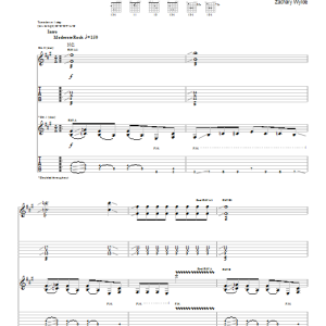 Black Label Society Say What You Will Musik Noten - Guitar Tab - 65017-0