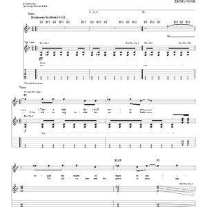Black Label Society You Must Be Blind Musik Noten - Guitar Tab - 65012-0