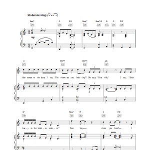 Bob Dylan Po' Boy Musik Noten - Piano, Vocal & Guitar Chords - 19202-0