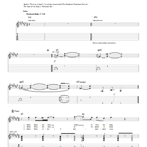 Bob Seger Fortunate Son Musik Noten - Guitar Tab - 53219-0
