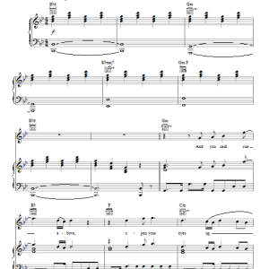 Bono & The Edge Rise Above 1 Musik Noten - Piano, Vocal & Guitar Chords - 90478-0