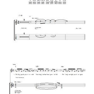 Bryan Adams Inside Out Musik Noten - Guitar Tab - 36444-0