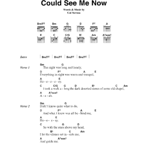 Cat Stevens If Only Mother Could See Me Now Musik Noten - Guitar Chords/Lyrics - 45027-0