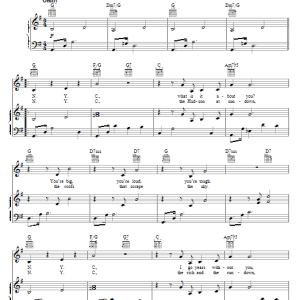 Charles Strouse N.Y.C. Musik Noten - Piano, Vocal & Guitar Chords - 51323-0