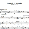 Chasidic Hoshiah Et Amecha (Help Your People) Musik Noten - Lead Sheet / Fake Book - 66594-0