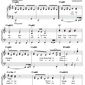 Chicago (I've Been) Searchin' So Long Musik Noten - Easy Piano - 25424-0