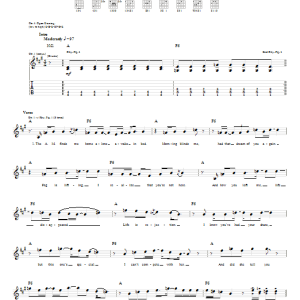 Chris Cornell She'll Never Be Your Man Musik Noten - Guitar Tab - 63486-0