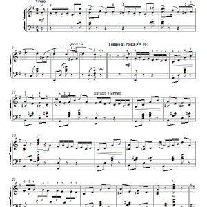 Clara Gottschalk Peterson Staccato Polka Musik Noten - Piano Solo - 95477-0