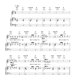 Coldplay Lost+ Musik Noten - Piano, Vocal & Guitar Chords - 45399-0