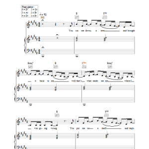 Coldplay Swallowed In The Sea Musik Noten - Piano, Vocal & Guitar Chords - 32256-0