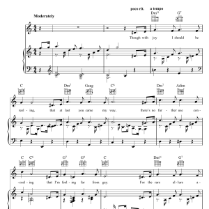 Cole Porter After You, Who? Musik Noten - Piano, Vocal & Guitar Chords - 46383-0