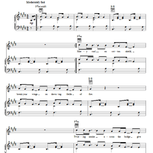 Cory Chisel And The Wandering Sons Calm Down Musik Noten - Piano, Vocal & Guitar Chords - 74685-0