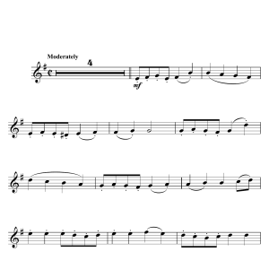 Cy Coleman The Rhythm Of Life (from Sweet Charity) Musik Noten - Flute Solo - 100829-0