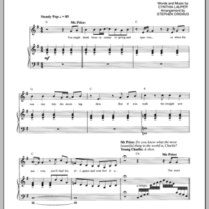 Cynthia Lauper The Most Beautiful Thing In The World Musik Noten - Piano & Vocal - 99004-0