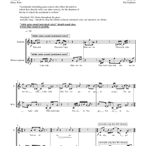 Dai Fujikura Lake Side (for mezzo-soprano) Musik Noten - Piano & Vocal - 46074-0