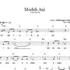 Dan Freelander Modeh Ani (I Give Thanks) Musik Noten - Lead Sheet / Fake Book - 66621-0