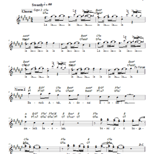 Dan Nichols Havdalah Musik Noten - Lead Sheet / Fake Book - 66150-0
