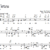 Dan Nichols Im Tirtzu Musik Noten - Lead Sheet / Fake Book - 66573-0