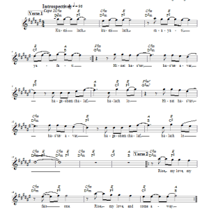 Dan Nichols Kumi Lach Musik Noten - Lead Sheet / Fake Book - 66143-0