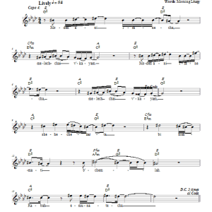 Dan Nichols Modeh Ani Musik Noten - Lead Sheet / Fake Book - 66178-0