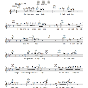 Dan Nichols Psalm 23 Musik Noten - Lead Sheet / Fake Book - 66237-0