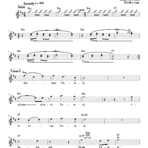 Dan Nichols Shomeir Yisrael Musik Noten - Lead Sheet / Fake Book - 66221-0