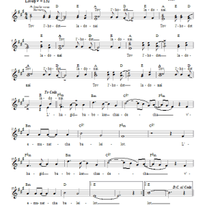 Dan Nichols Tov L'hodot Musik Noten - Lead Sheet / Fake Book - 66275-0