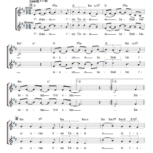 Dan Nichols V'shamru Musik Noten - Lead Sheet / Fake Book - 66309-0