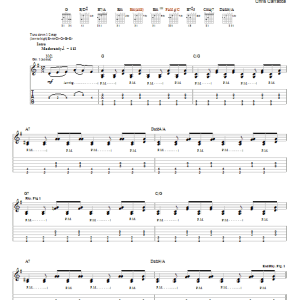 Dashboard Confessional Carry This Picture Musik Noten - Guitar Tab - 31308-0