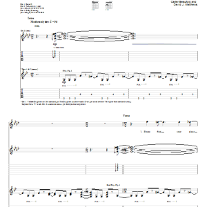 Dave Matthews Band Squirm Musik Noten - Guitar Tab - 72734-0