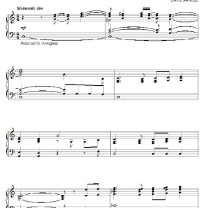 David Arnold 1st Sword Musik Noten - Piano Solo - 80824-0