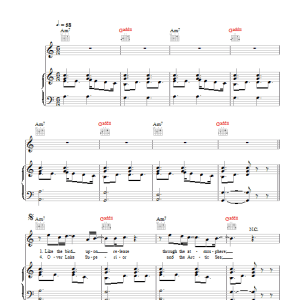 David Gray First Chance Musik Noten - Piano, Vocal & Guitar Chords - 49532-0