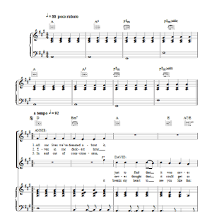 David Gray Full Steam Musik Noten - Piano, Vocal & Guitar Chords - 49368-0