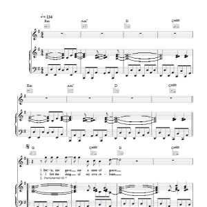 David Gray Stella The Artist Musik Noten - Piano, Vocal & Guitar Chords - 49531-0