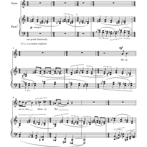 David Horne A curious thirsty fly (for tenor and piano) Musik Noten - Piano & Vocal - 46068-0