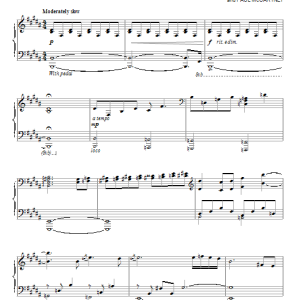 David Lanz I Am The Walrus Musik Noten - Piano Solo - 87889-0